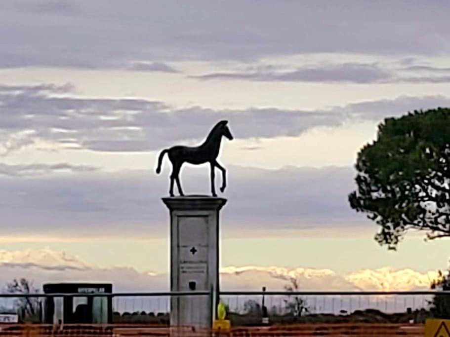 Appartamento Con Vista A Cavallino Venezia Ngoại thất bức ảnh